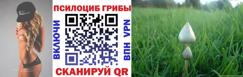 Галлюциногенные грибы GOLDEN TEACHER ОМГ ОМГ ссылка Норильск купить наркотики сайты